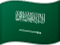Saudi Arabia flag